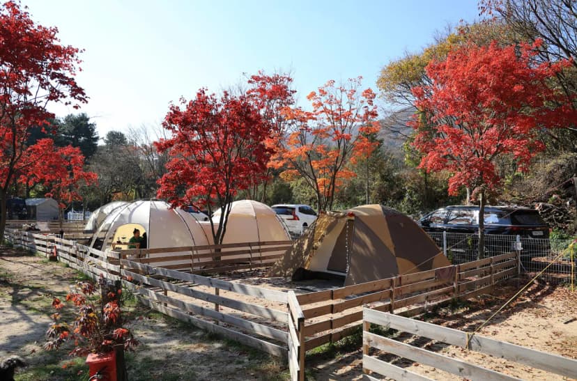 큰돌 캠핑장 사진 7