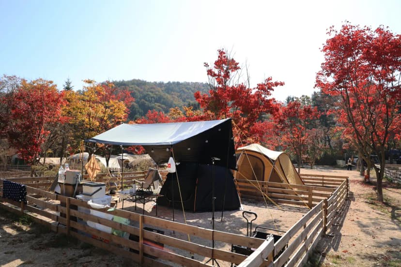 큰돌 캠핑장 사진 8
