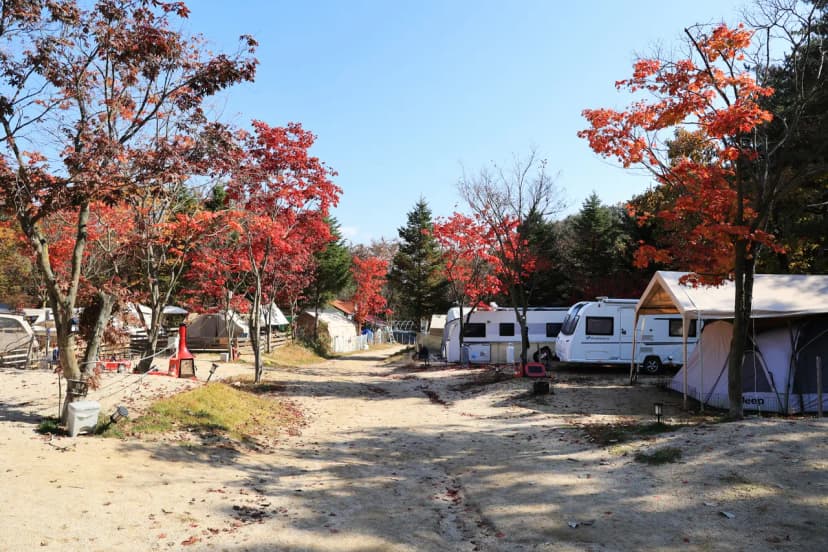 큰돌 캠핑장 사진 12
