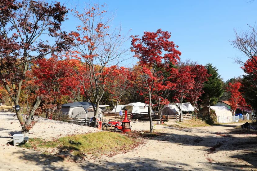 큰돌 캠핑장 사진 13