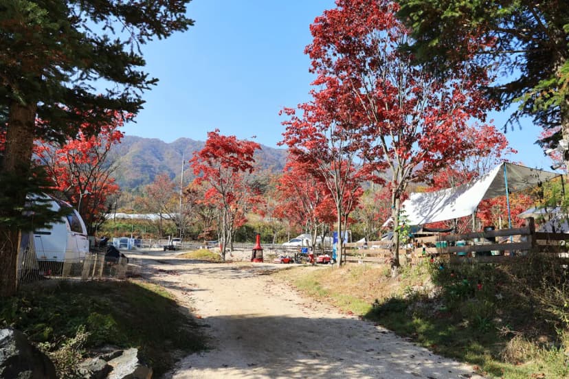 큰돌 캠핑장 사진 19
