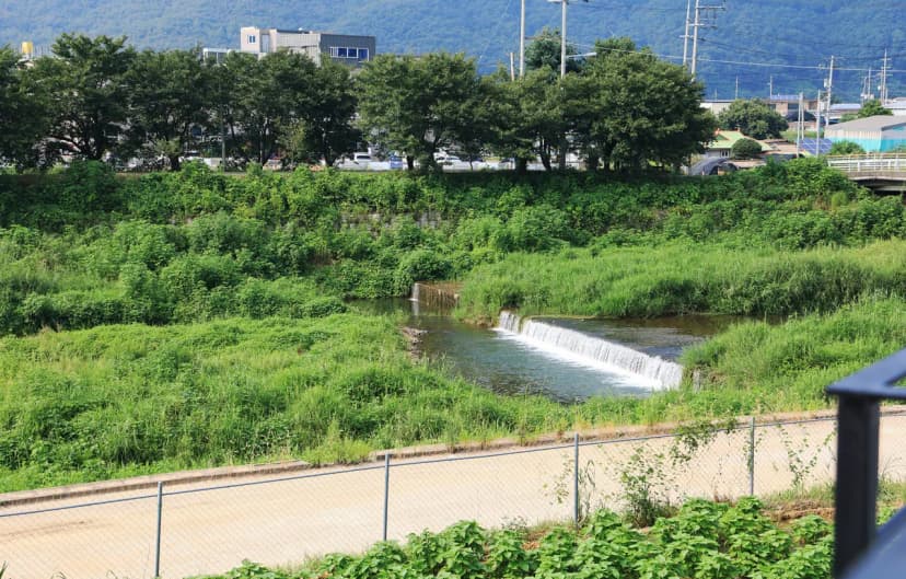 두부삼촌캠프 사진 17
