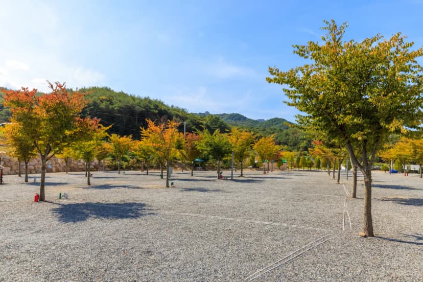 속리산365캠핑장 사진 11