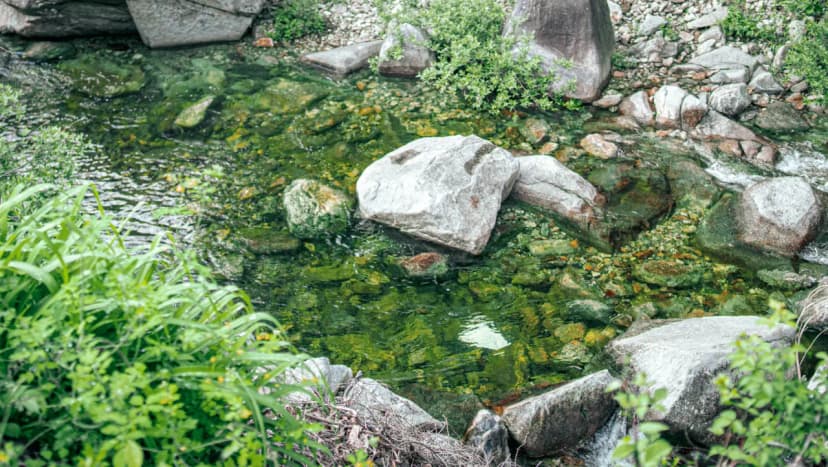 영월 엄둔밸리 계곡캠핑장 사진 13