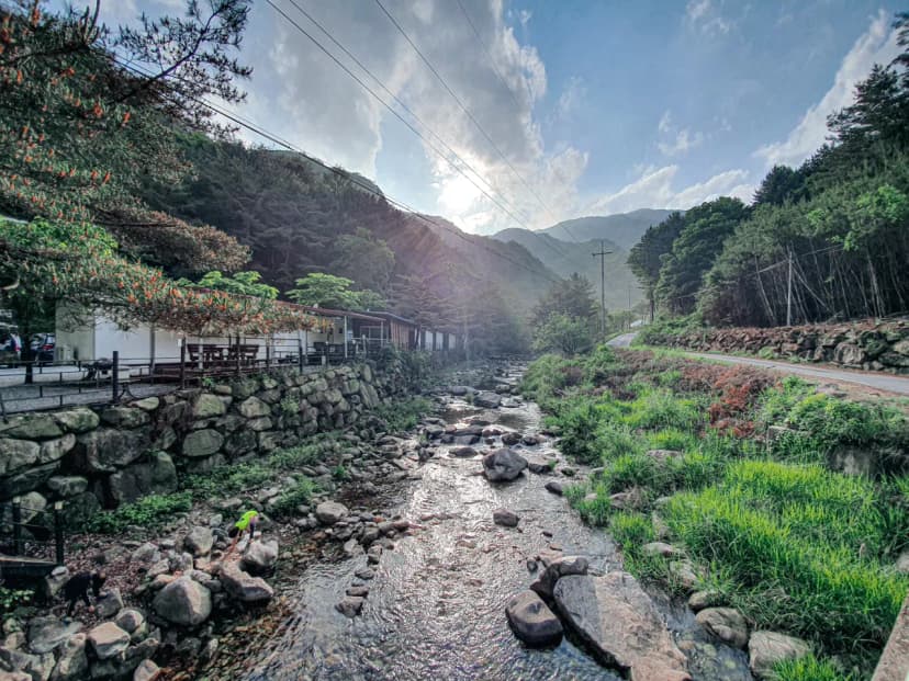 영월 엄둔밸리 계곡캠핑장 사진 17