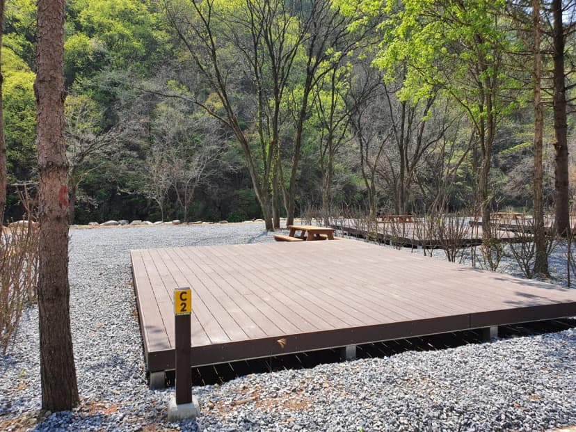 포레스트힐링캠프 사진 14