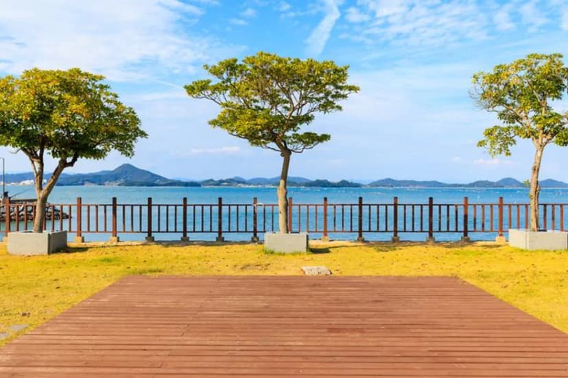 해그라미 사진 2