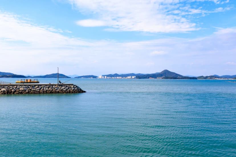 해그라미 사진 5