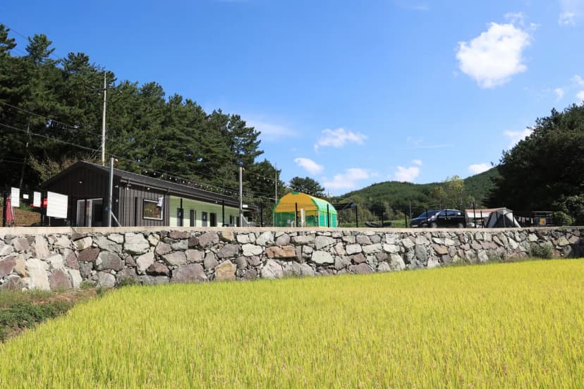 호노골 캠핑장 사진 14