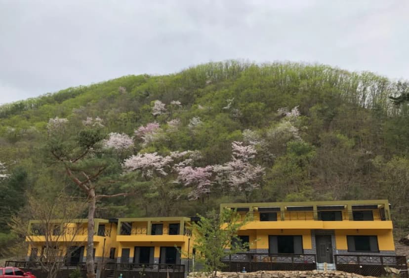 별빛뜰애 사진 14