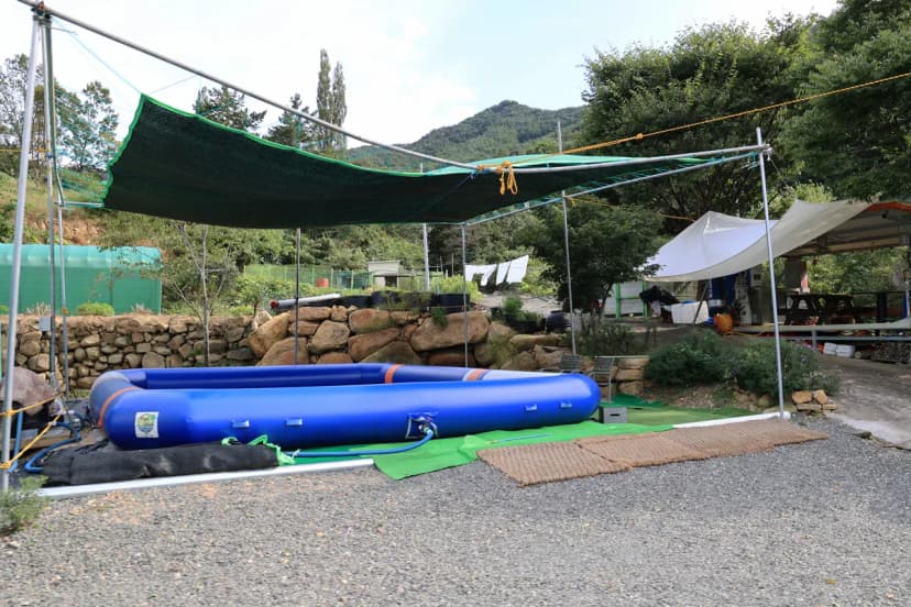 옥천1382 사진 7