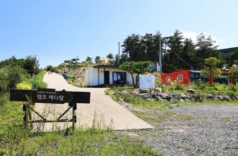 캠프 애니말 사진 21