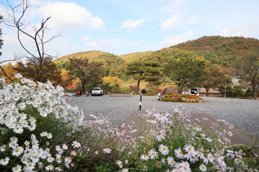 달사랑 캠핑장 사진 5