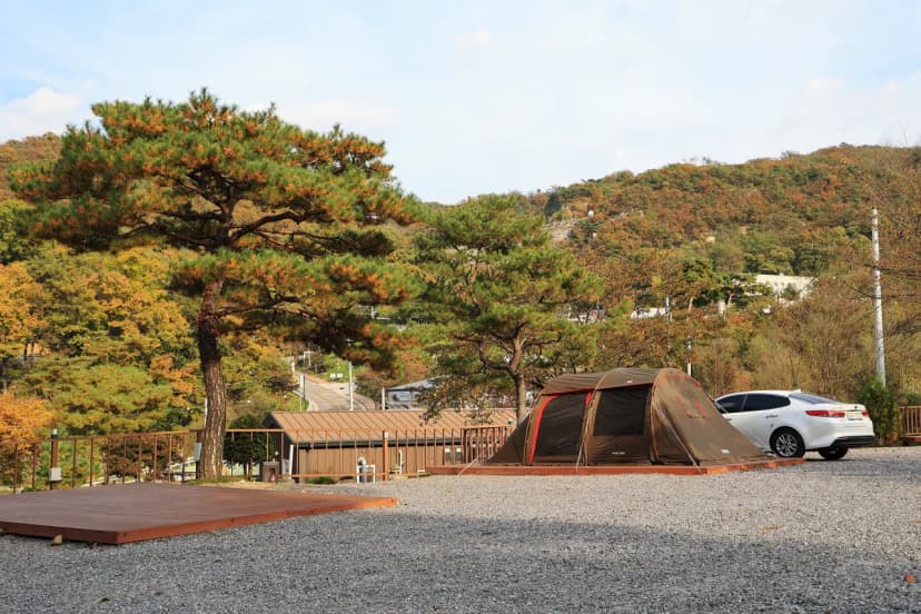 달사랑 캠핑장 사진 9