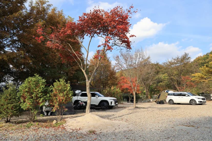 달사랑 캠핑장 사진 11