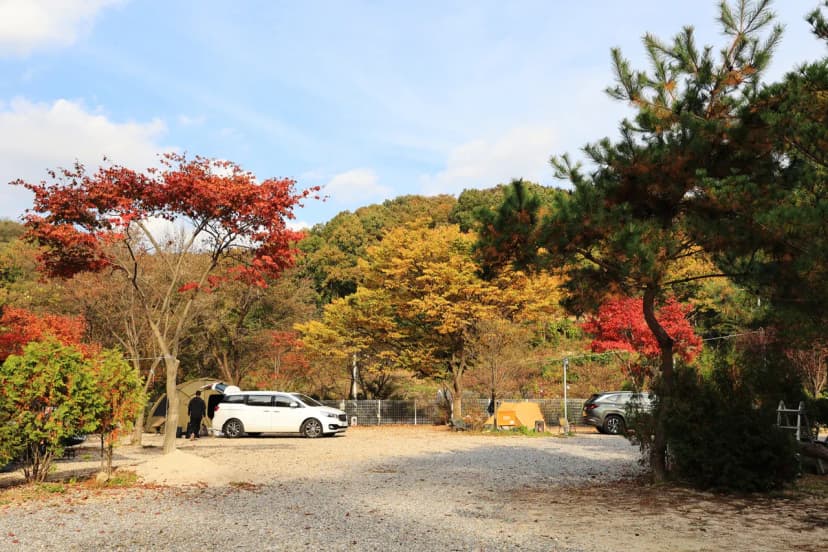 달사랑 캠핑장 사진 12