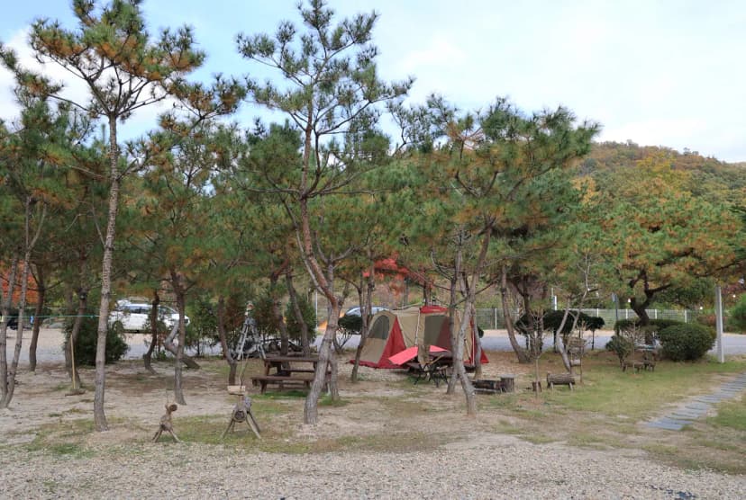 달사랑 캠핑장 사진 13