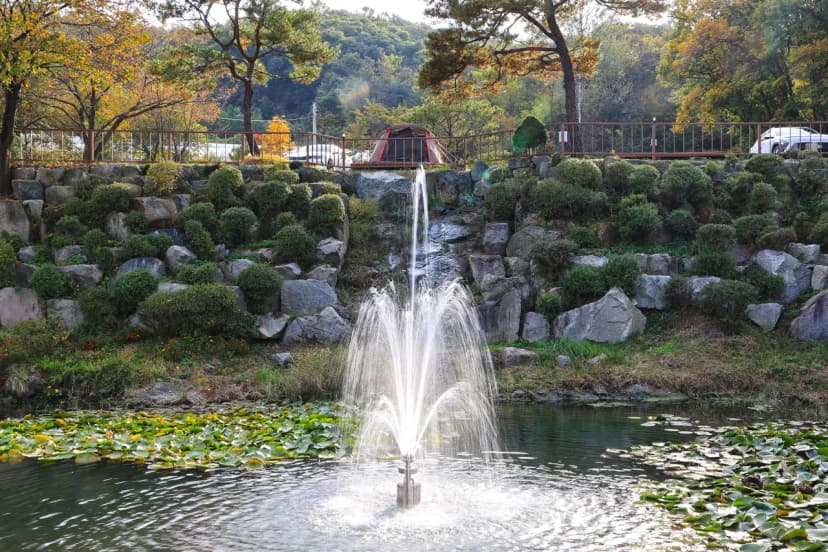 달사랑 캠핑장 사진 15