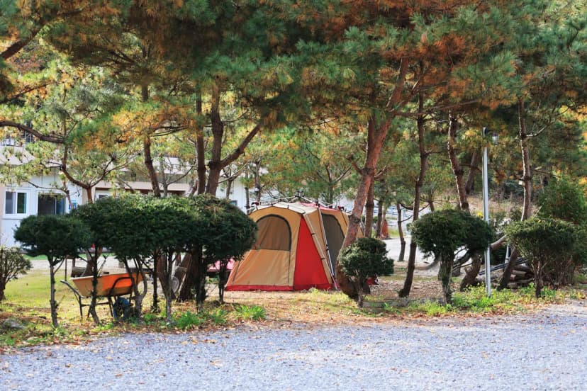 달사랑 캠핑장 사진 16