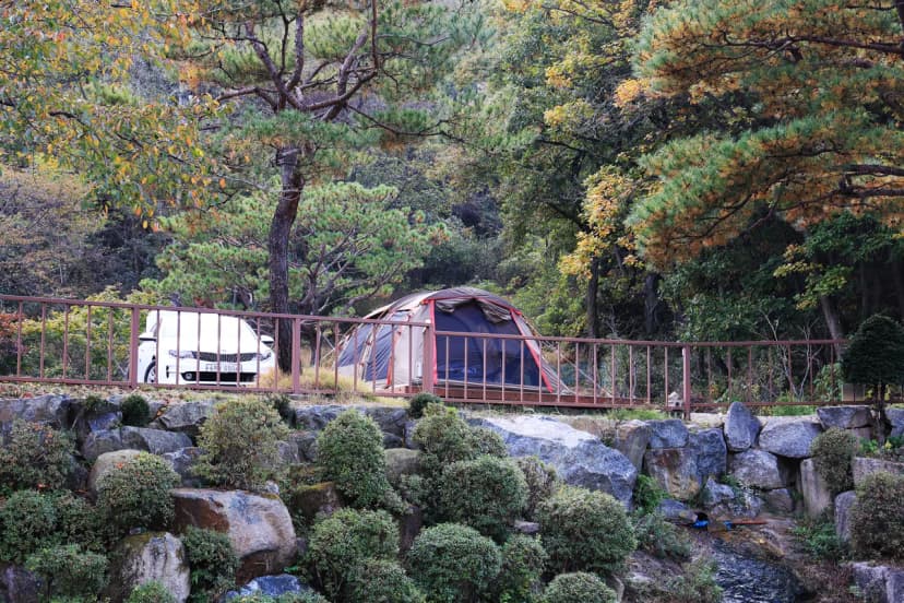 달사랑 캠핑장 사진 18