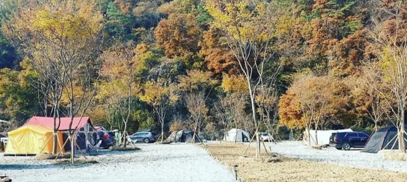 아우어캄푸스 사진 3