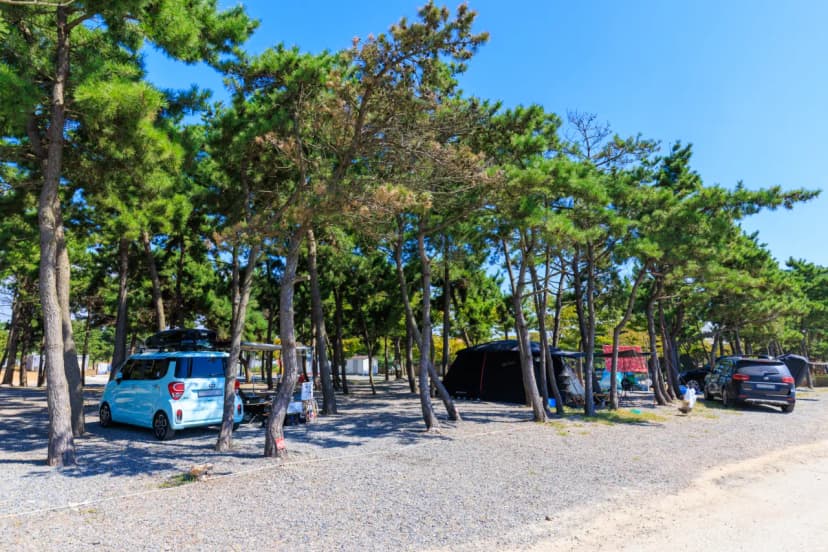 어은돌오토캠핑장 사진 5