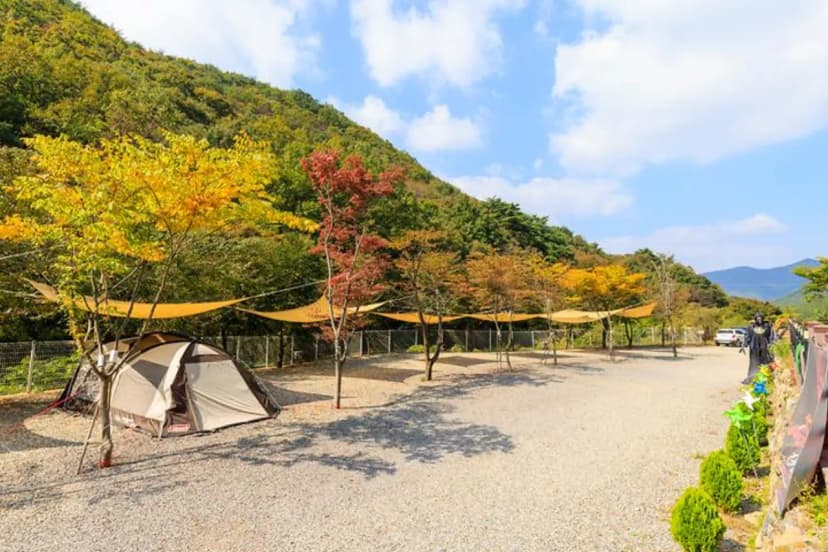 오솔길 오토 캠핑장 사진 3