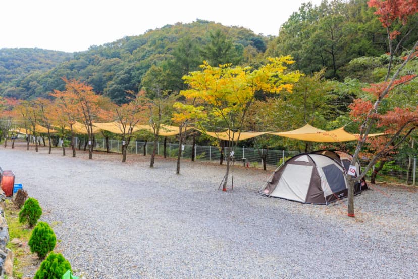 오솔길 오토 캠핑장 사진 7