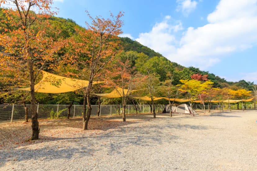 오솔길 오토 캠핑장 사진 20