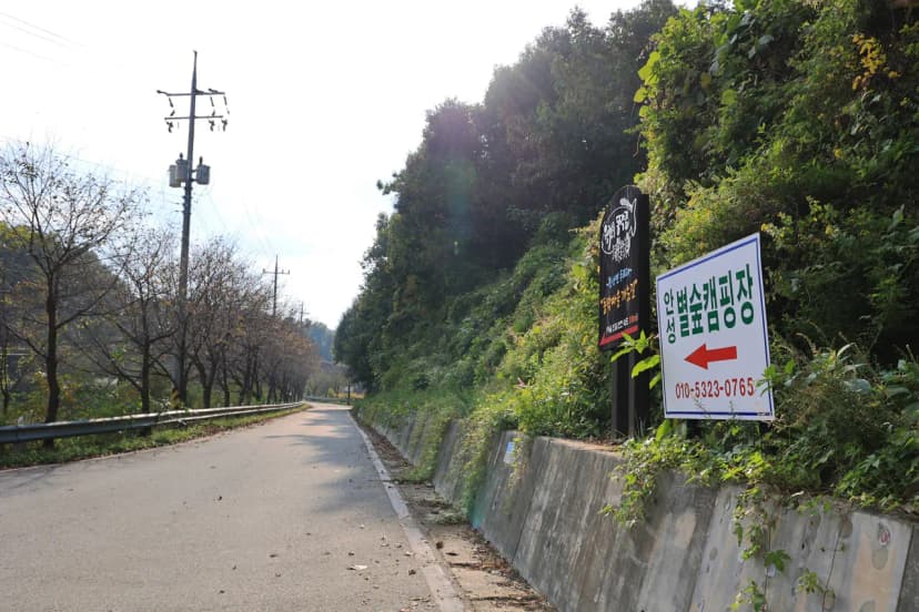 안성 별숲 캠핑장 사진 4