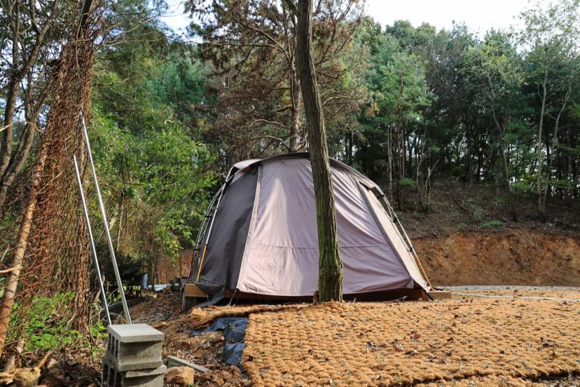 안성 별숲 캠핑장 사진 10