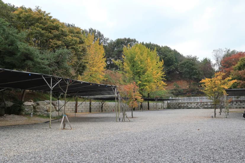 안성 별숲 캠핑장 사진 13