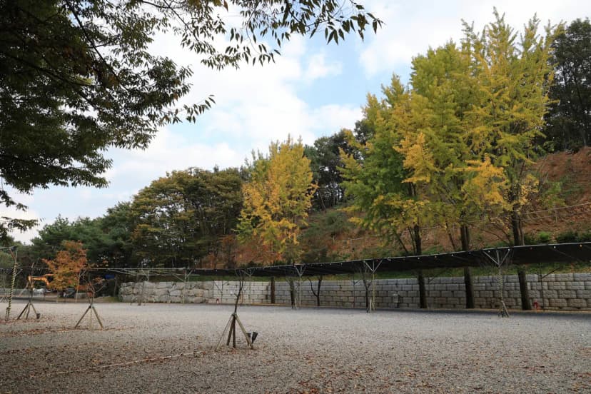 안성 별숲 캠핑장 사진 15