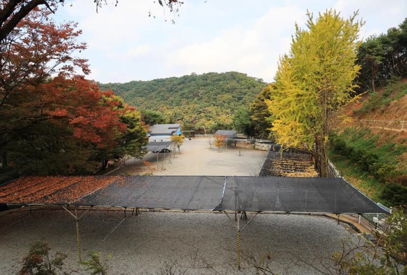 안성 별숲 캠핑장 사진 16