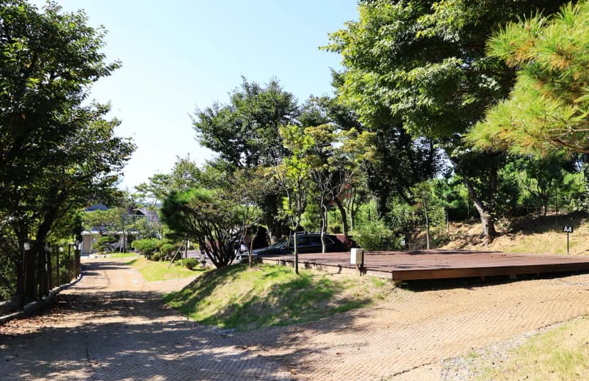 따봄 사진 8