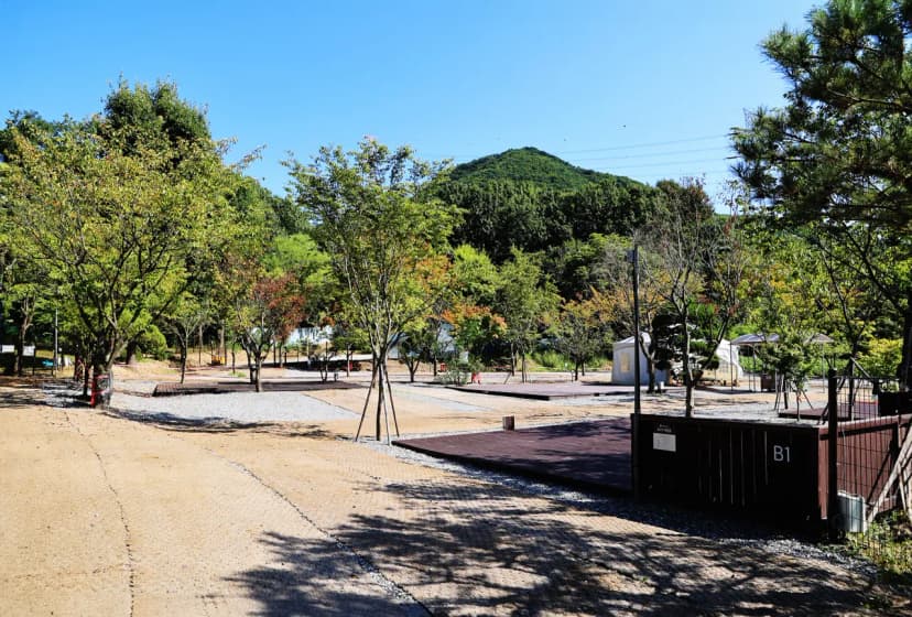 따봄 사진 10