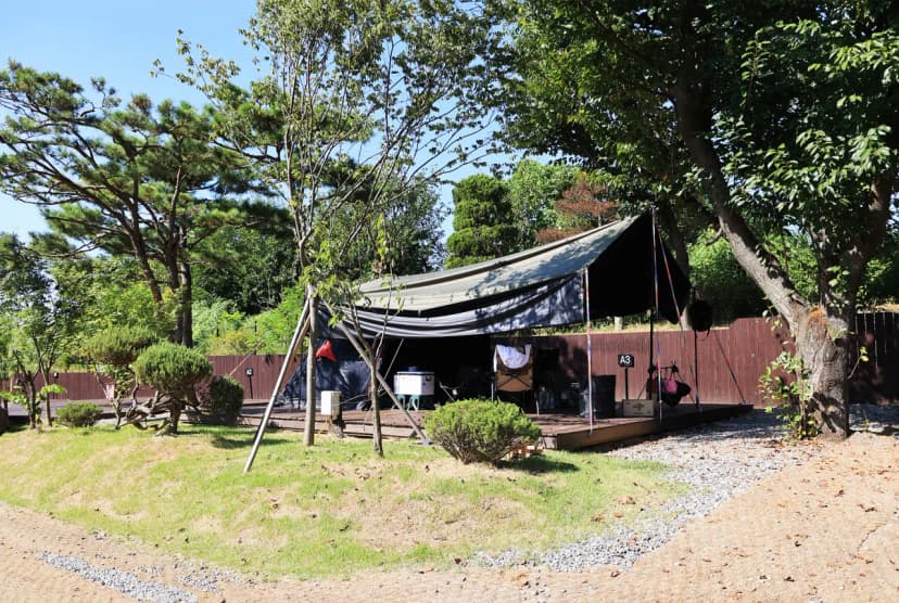 따봄 사진 11