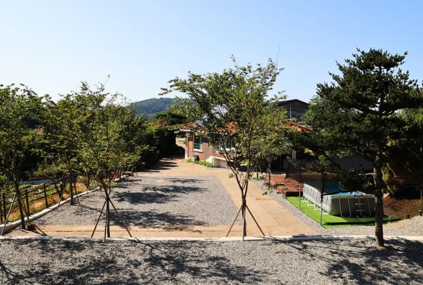 따봄 사진 21