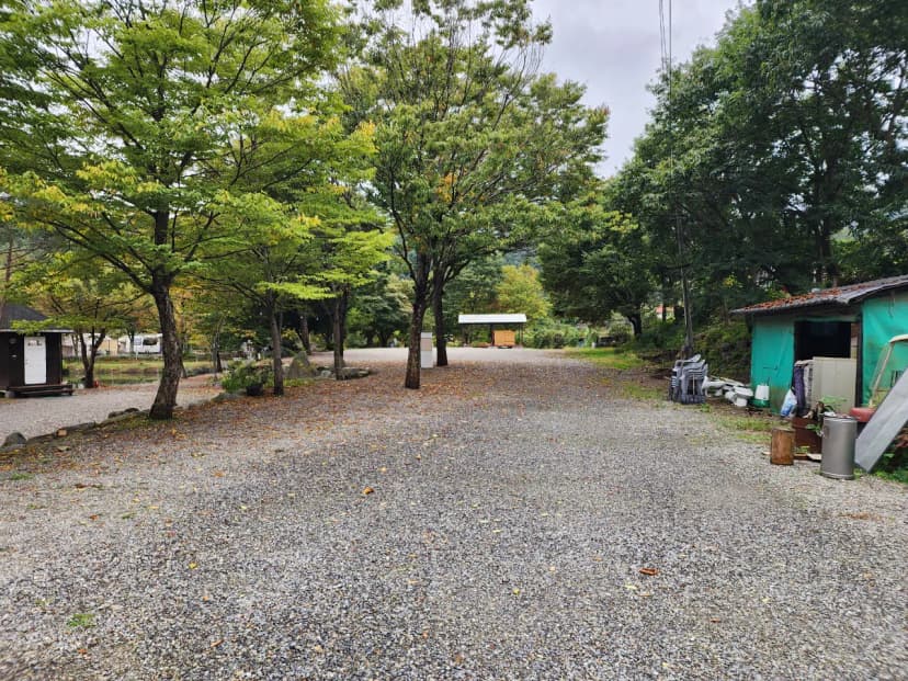 유명산밸리 캠핑장 사진 5