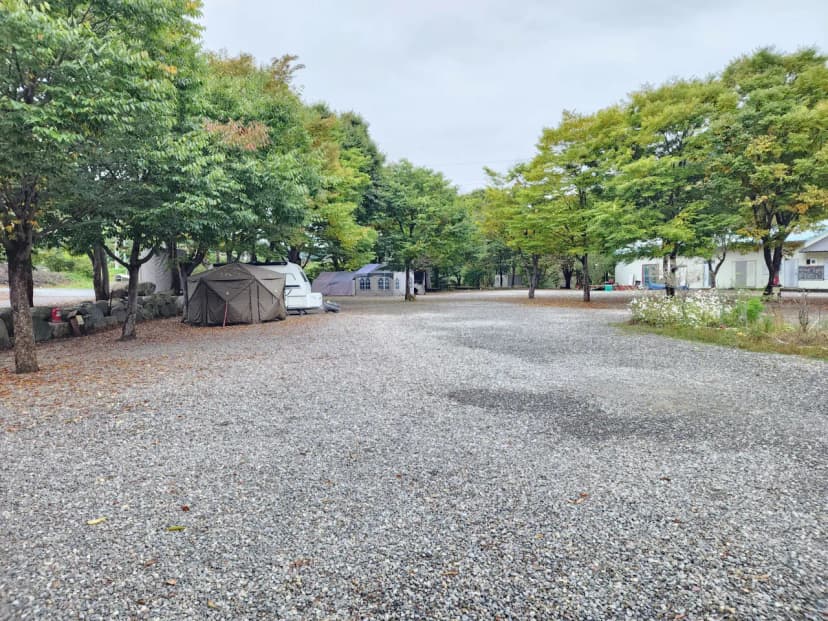 유명산밸리 캠핑장 사진 8