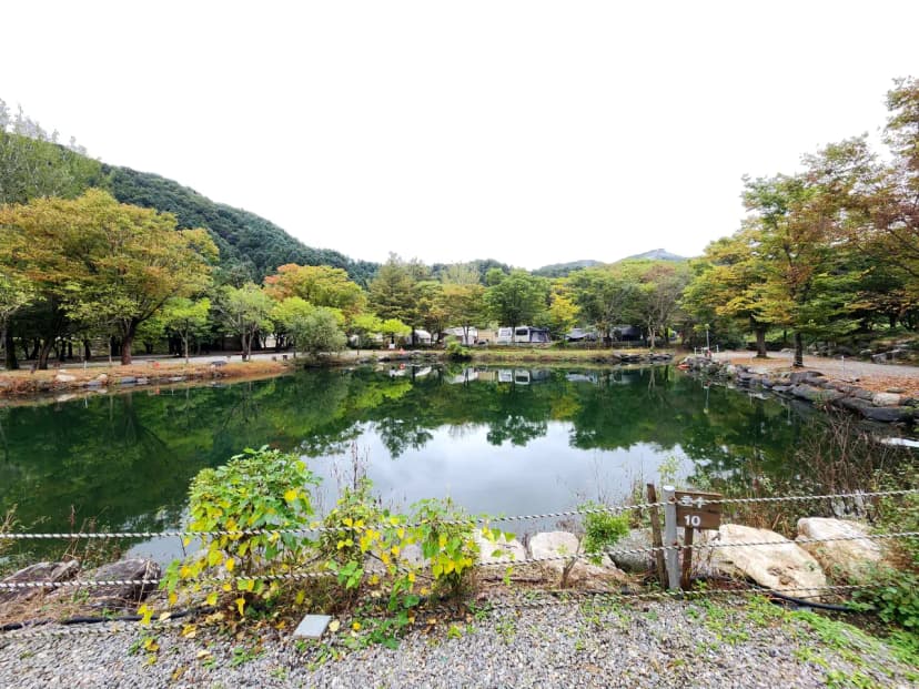 유명산밸리 캠핑장 사진 12