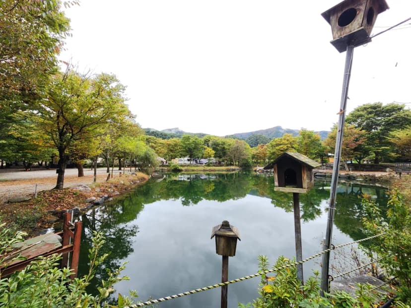 유명산밸리 캠핑장 사진 13