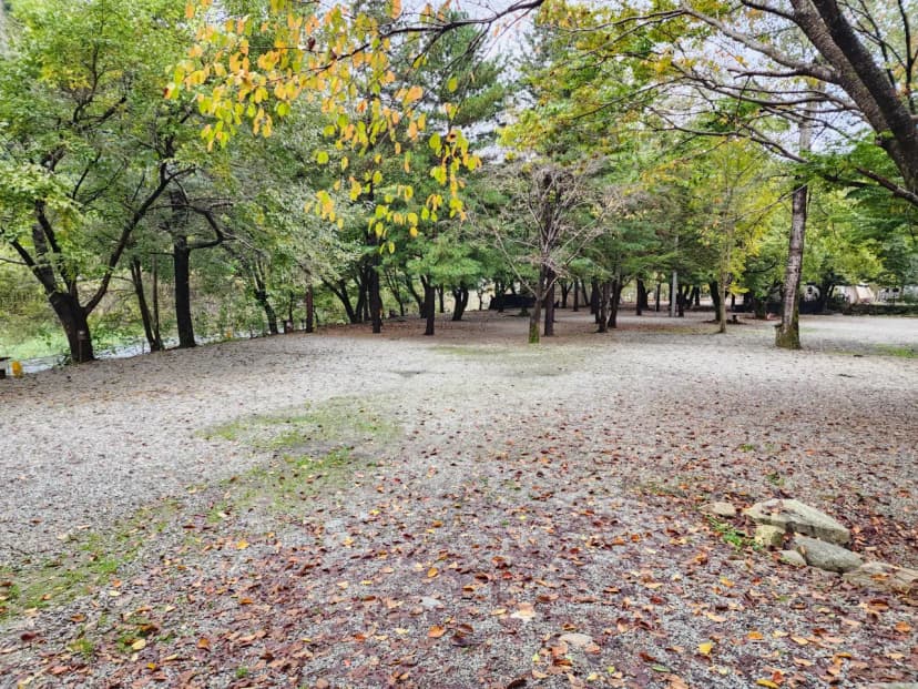 유명산밸리 캠핑장 사진 15