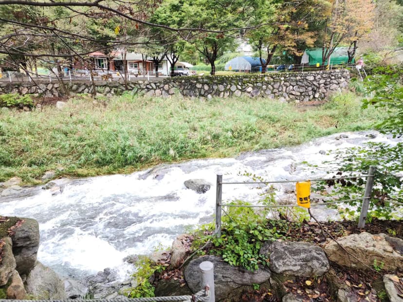유명산밸리 캠핑장 사진 16