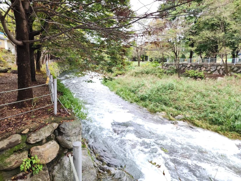 유명산밸리 캠핑장 사진 17