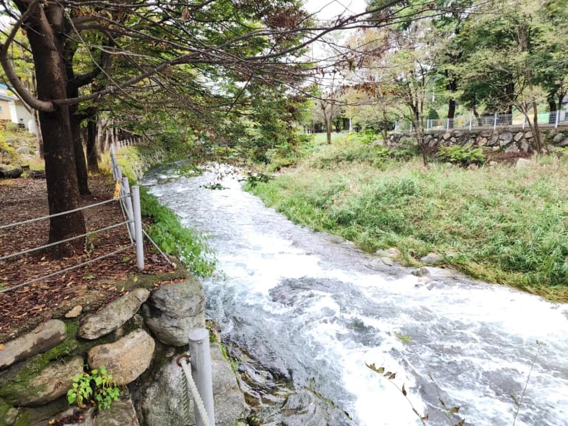 유명산밸리 캠핑장 사진 18