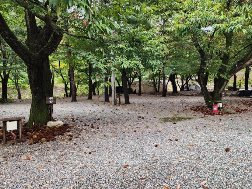 유명산밸리 캠핑장 사진 21