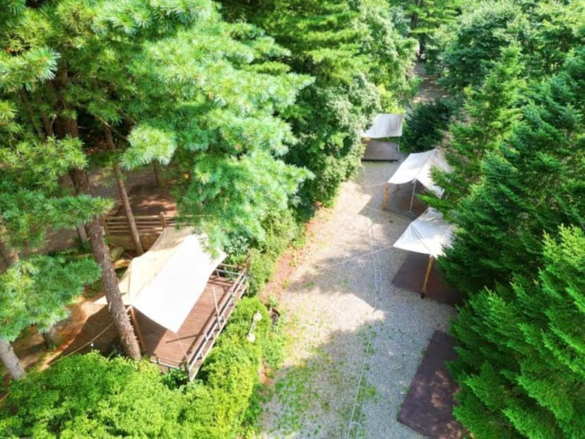유명산 258 사진 2