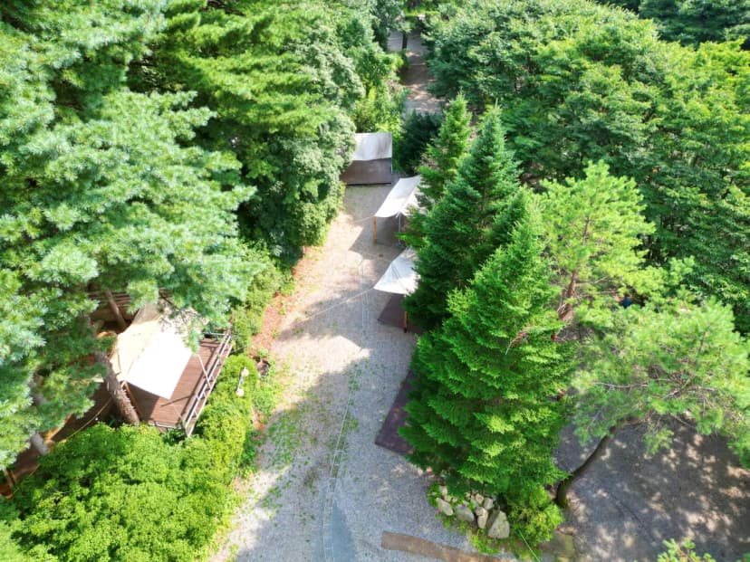 유명산 258 사진 5