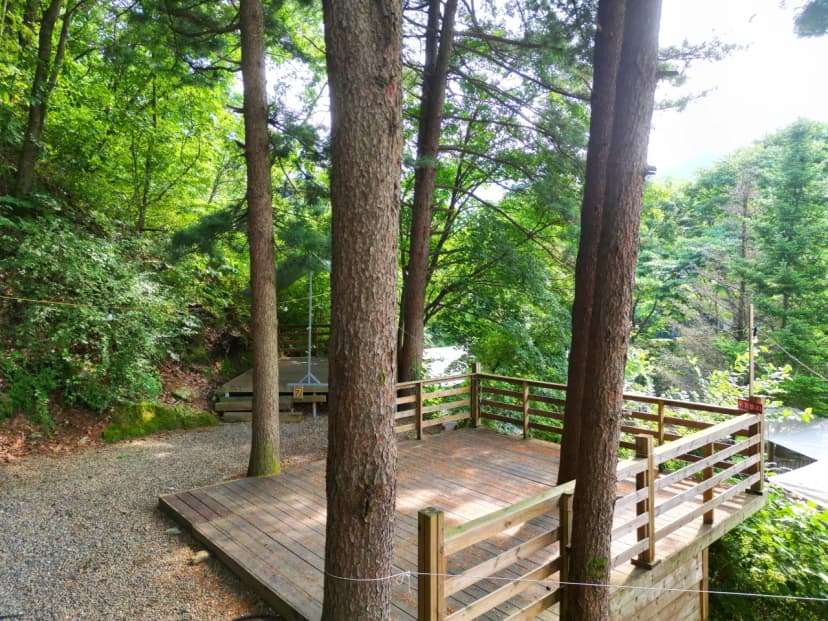 유명산 258 사진 10